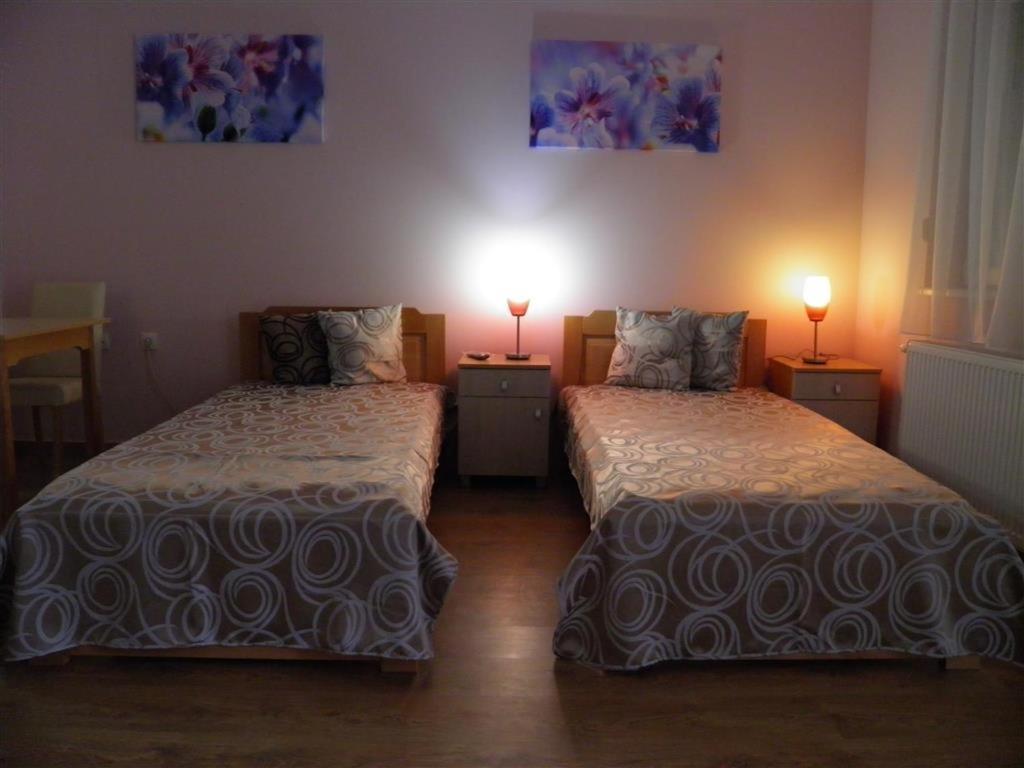 Sremska Kamenica B&B Zmajevo Gnezdo 021 מראה חיצוני תמונה