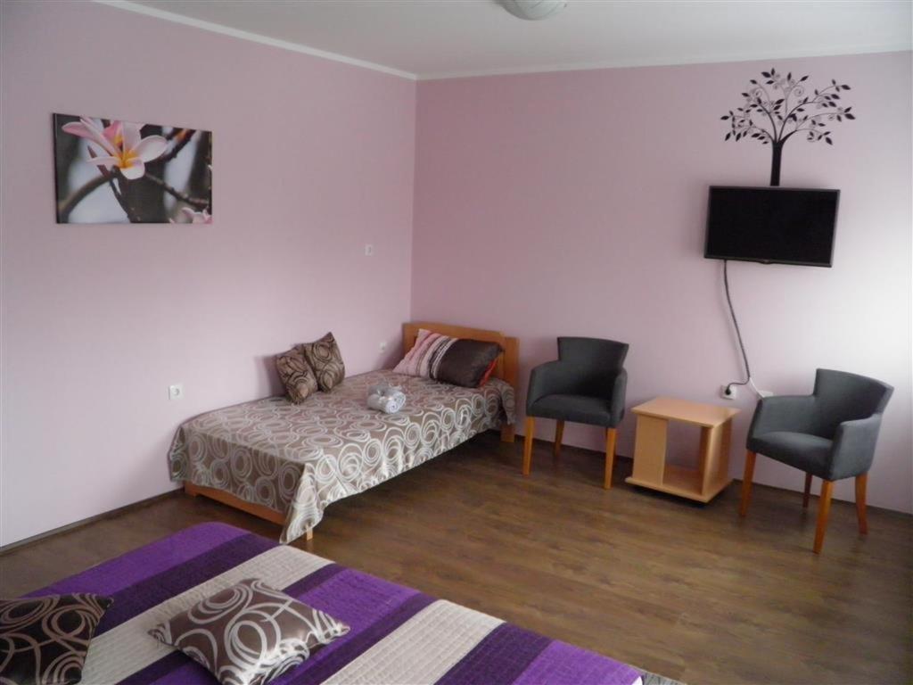 Sremska Kamenica B&B Zmajevo Gnezdo 021 מראה חיצוני תמונה