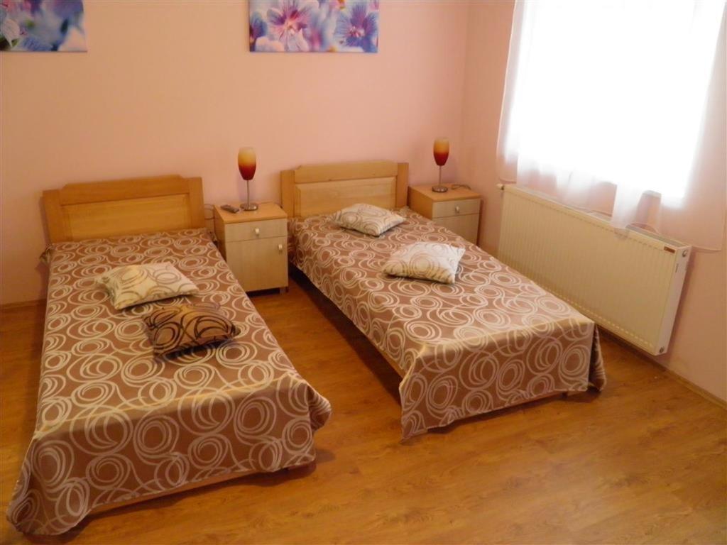 Sremska Kamenica B&B Zmajevo Gnezdo 021 מראה חיצוני תמונה
