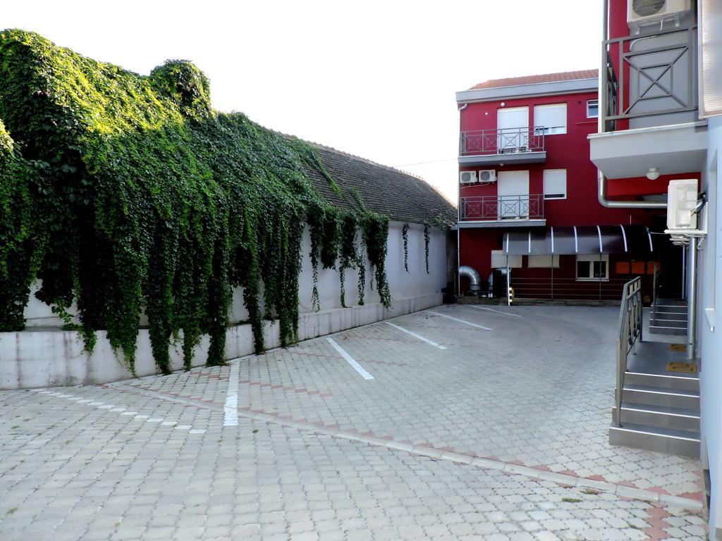 Sremska Kamenica B&B Zmajevo Gnezdo 021 מראה חיצוני תמונה