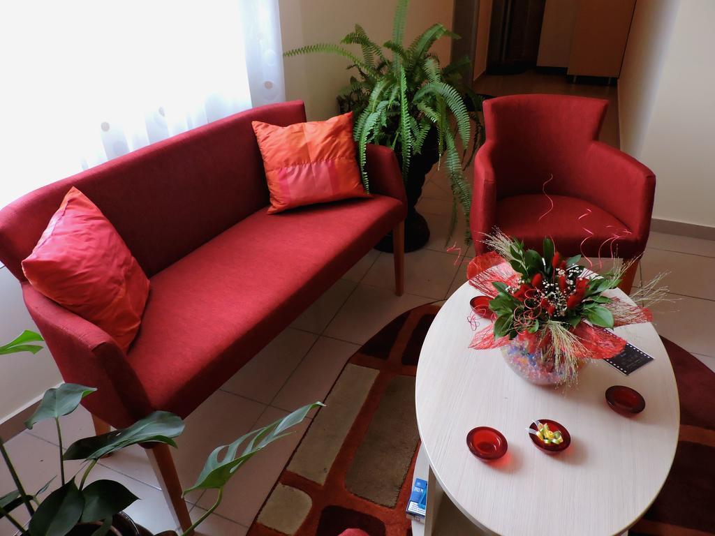 Sremska Kamenica B&B Zmajevo Gnezdo 021 מראה חיצוני תמונה