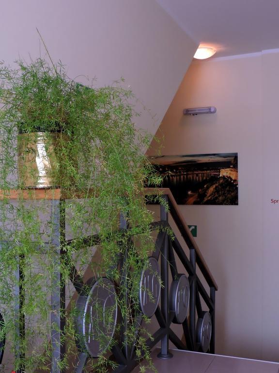 Sremska Kamenica B&B Zmajevo Gnezdo 021 מראה חיצוני תמונה