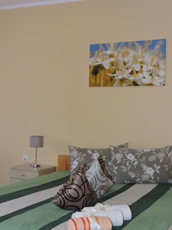 Sremska Kamenica B&B Zmajevo Gnezdo 021 חדר תמונה