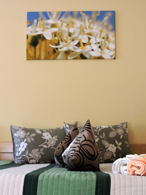 Sremska Kamenica B&B Zmajevo Gnezdo 021 מראה חיצוני תמונה