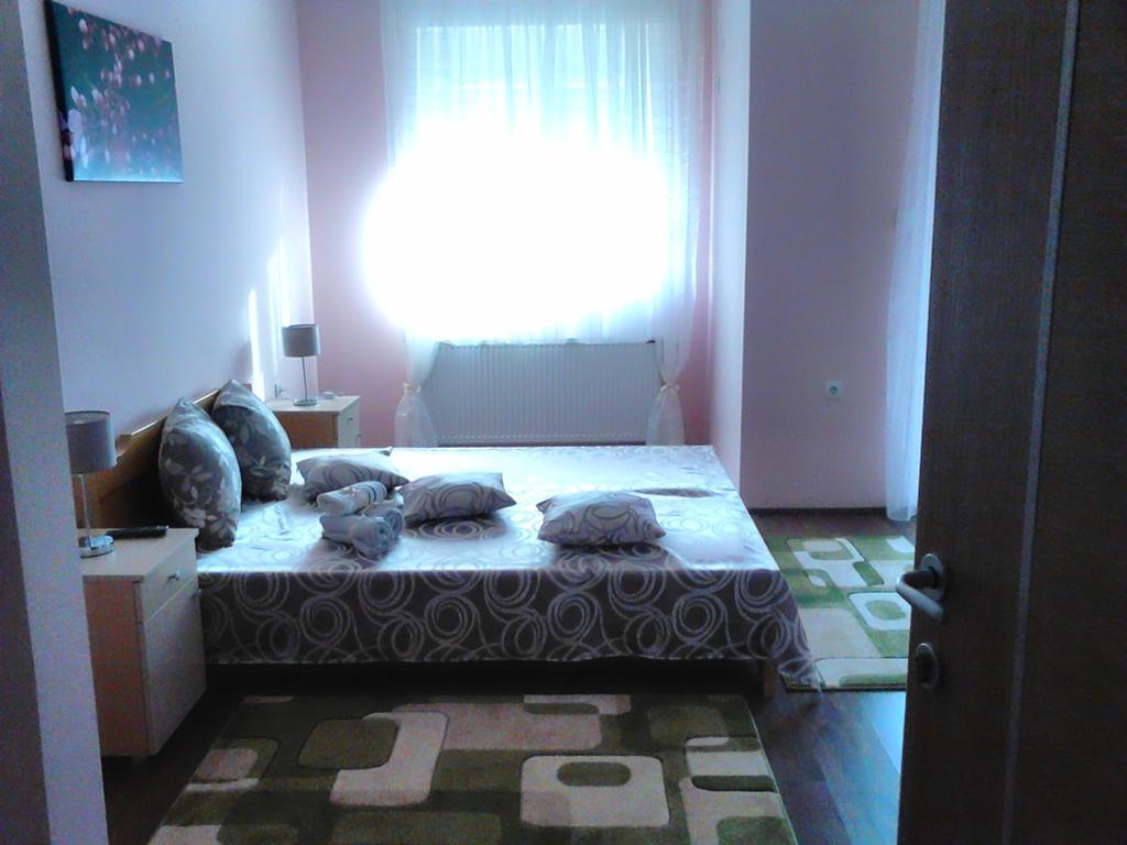 Sremska Kamenica B&B Zmajevo Gnezdo 021 מראה חיצוני תמונה