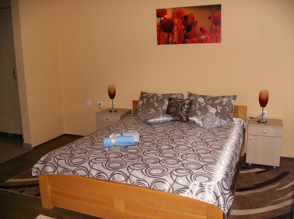 Sremska Kamenica B&B Zmajevo Gnezdo 021 מראה חיצוני תמונה