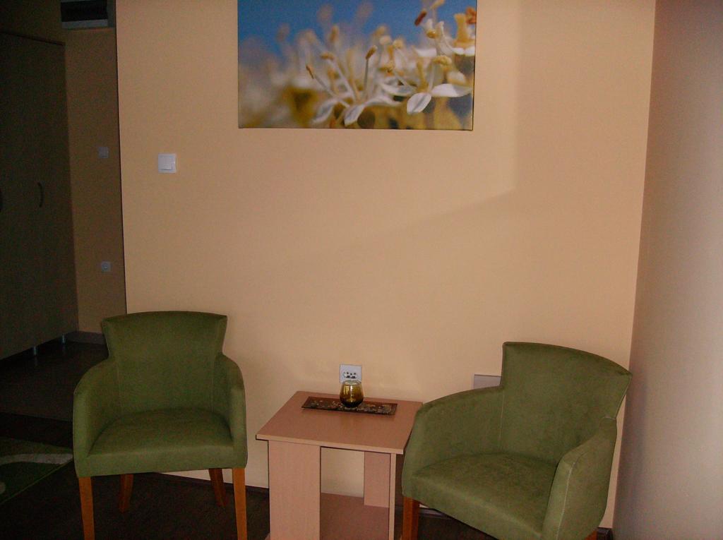 Sremska Kamenica B&B Zmajevo Gnezdo 021 מראה חיצוני תמונה