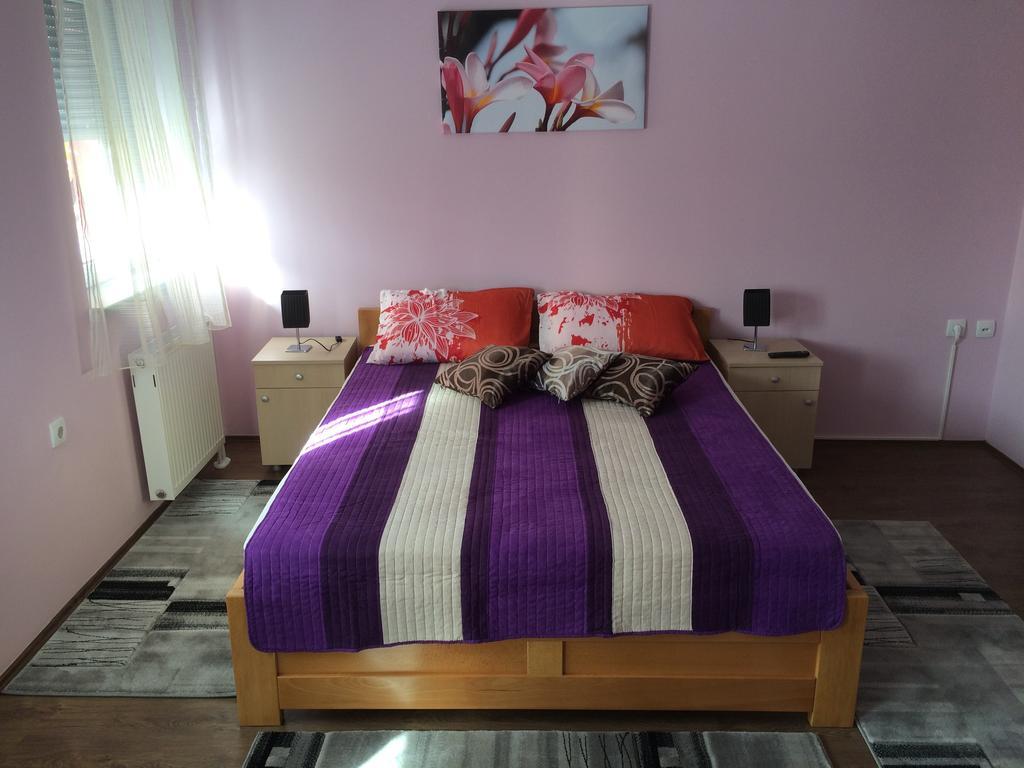 Sremska Kamenica B&B Zmajevo Gnezdo 021 חדר תמונה