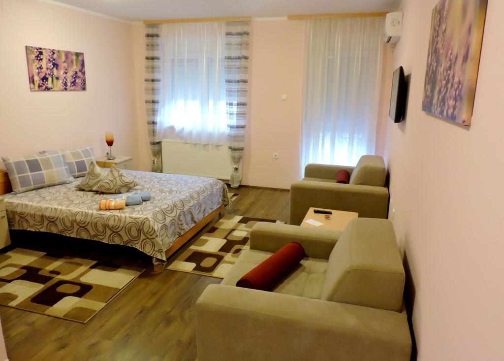 Sremska Kamenica B&B Zmajevo Gnezdo 021 מראה חיצוני תמונה