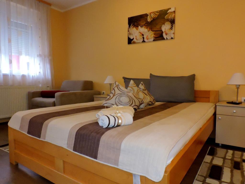 Sremska Kamenica B&B Zmajevo Gnezdo 021 מראה חיצוני תמונה