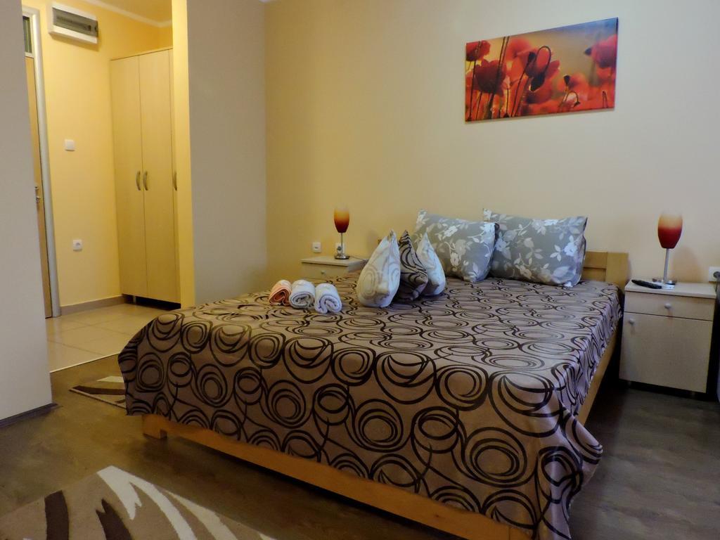 Sremska Kamenica B&B Zmajevo Gnezdo 021 מראה חיצוני תמונה